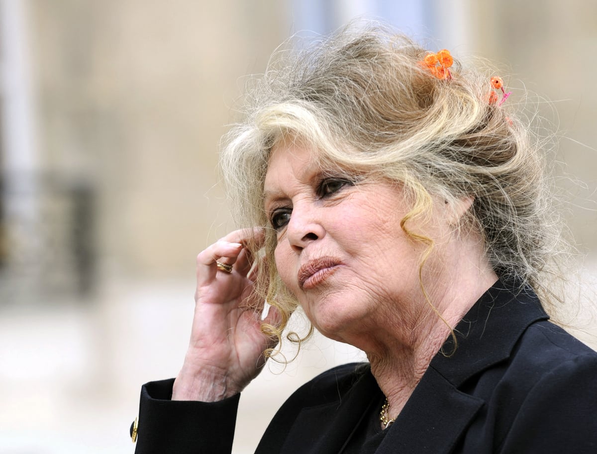 Brigitte Bardot, à l'aube de ses 90 ans: «Je préférais en avoir 20!» | JDM