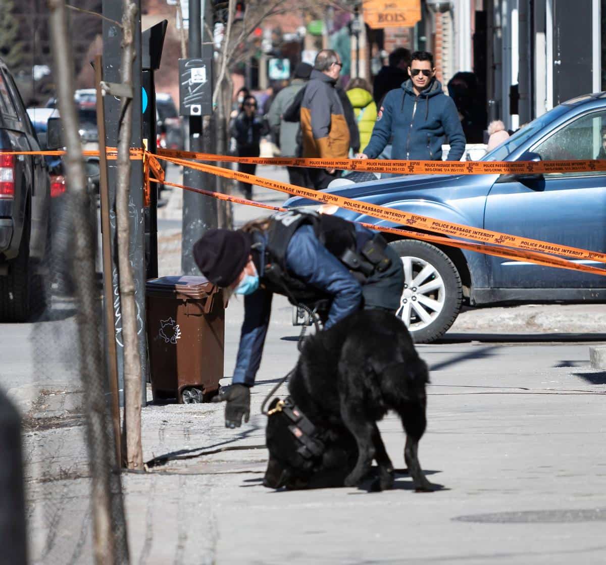 [IMAGES] Montréal: un homme atteint par balle sur Le Plateau | JDM