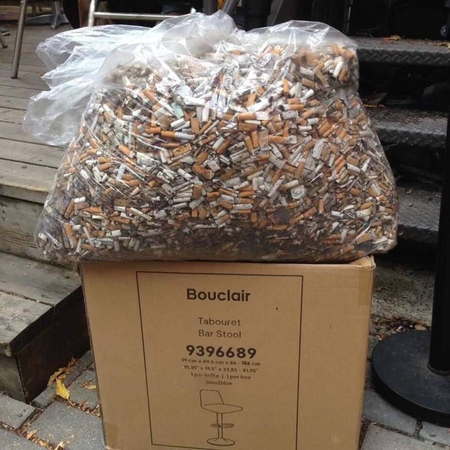 Image principale de l'article Des bénévoles ramassent 30 000 vieux mégots