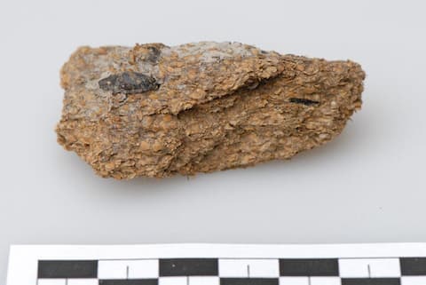 Living on beer and cheese, 2,700 years ago