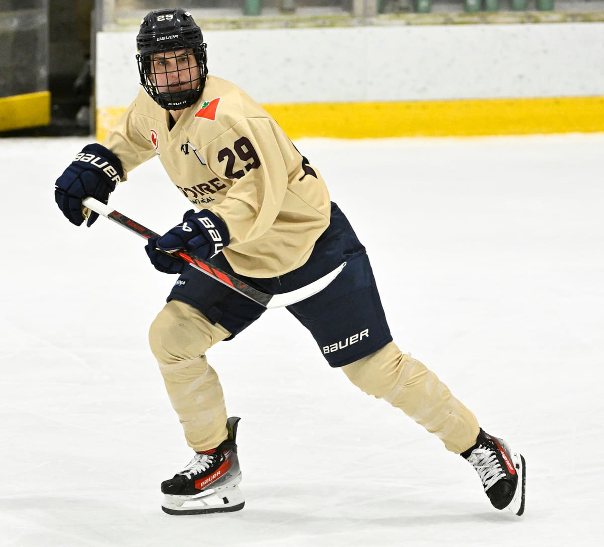 LPHF: six choses &agrave; savoir sur la Victoire de Montr&eacute;al en ce d&eacute;but de saison