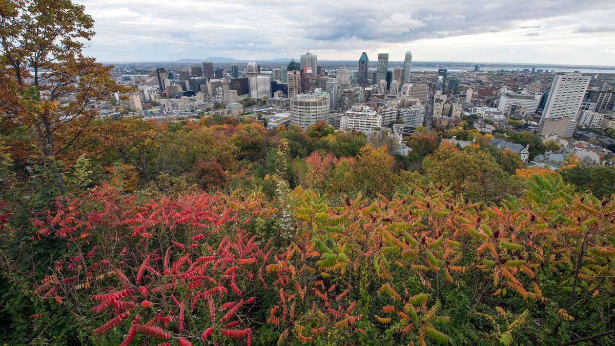 Jusqu'à 15 °C attendus aujourd'hui