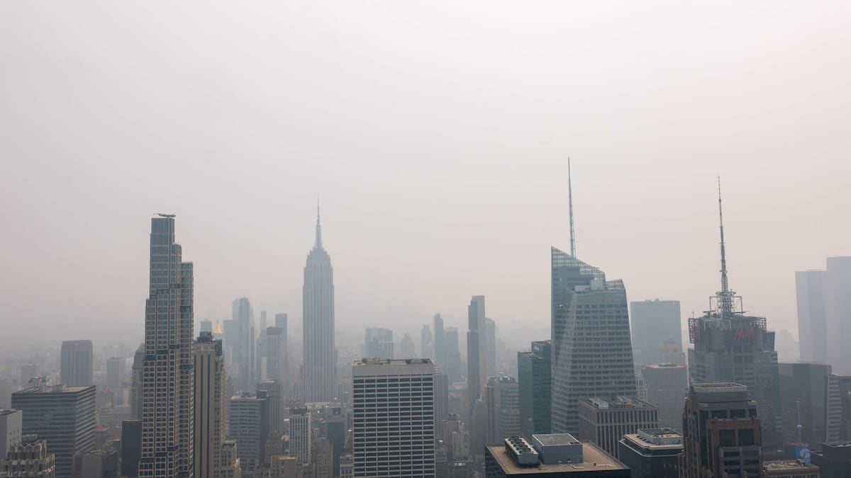 One dead from Legionnaires’ disease in New York One dead from Legionnaires’ disease in New York