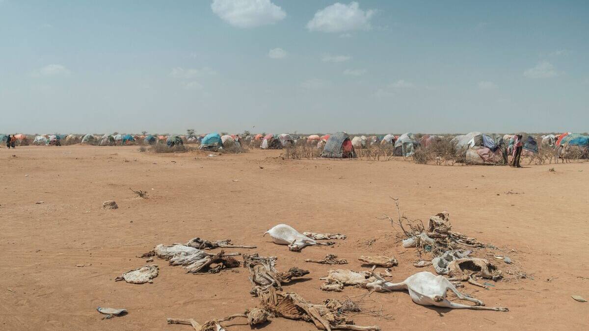 1 chance sur 2 que le seuil de +1,5°C soit dépassé dans les 5 ans