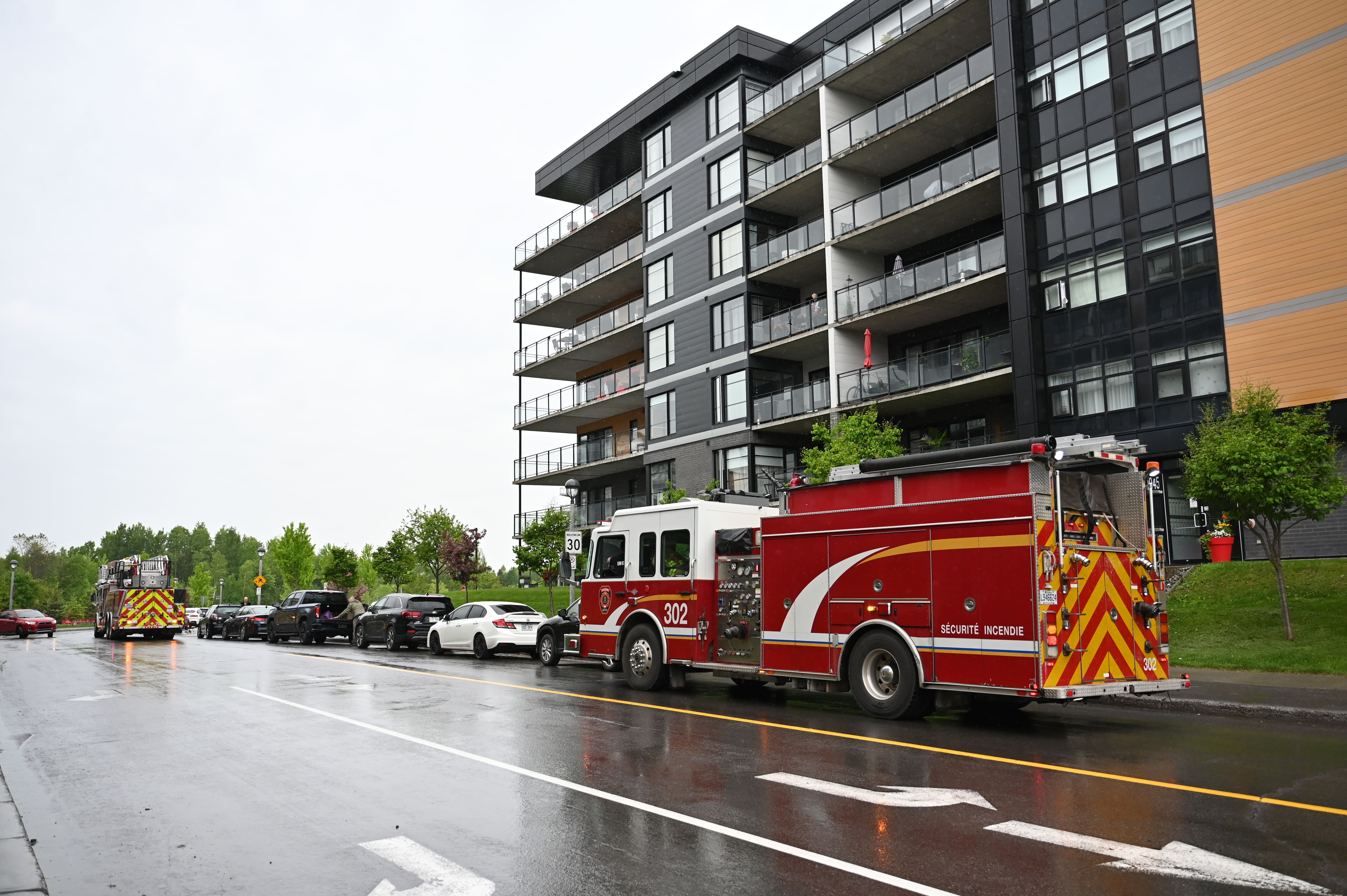 Une corneille à l’origine de la panne d’Hydro-Québec samedi matin sur la Rive-Sud de Québec