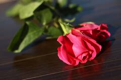 Une Saint-Valentin : de soi, pour soi