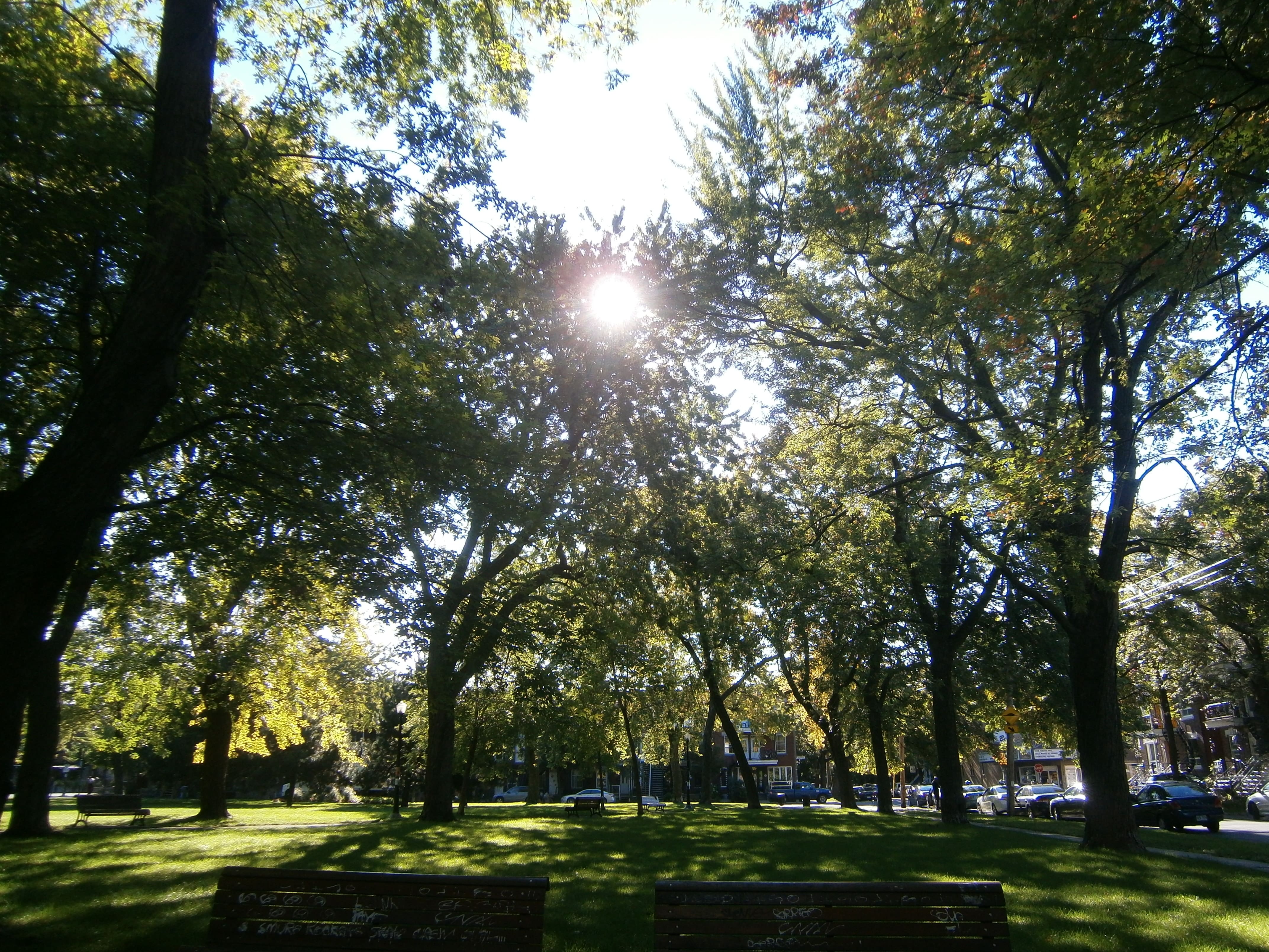 F&ecirc;te des P&egrave;res: une journ&eacute;e toujours aussi populaire?