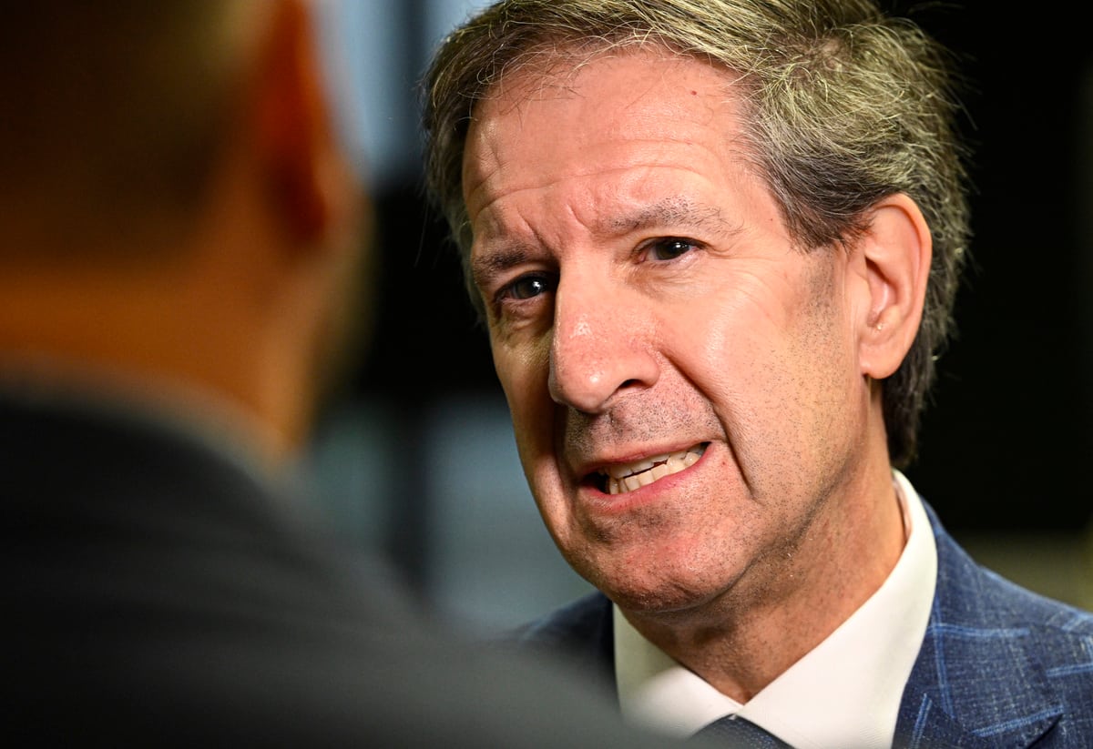 Mario contre le gros