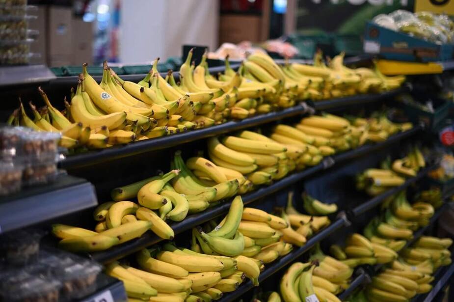 Image principale de l'article De la cocaïne cachée dans leurs bananes