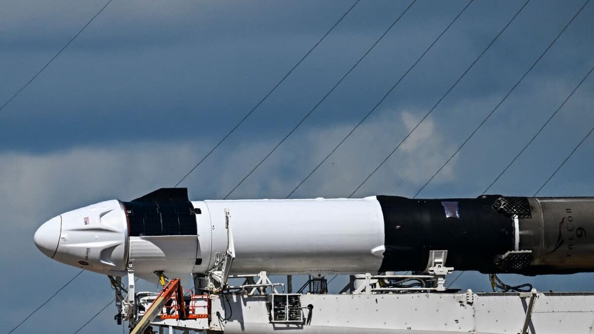 Una missione SpaceX che prevedeva la prima passeggiata spaziale privata è stata rinviata a tempo indeterminato Una missione SpaceX che prevedeva la prima passeggiata spaziale privata è stata rinviata a tempo indeterminato