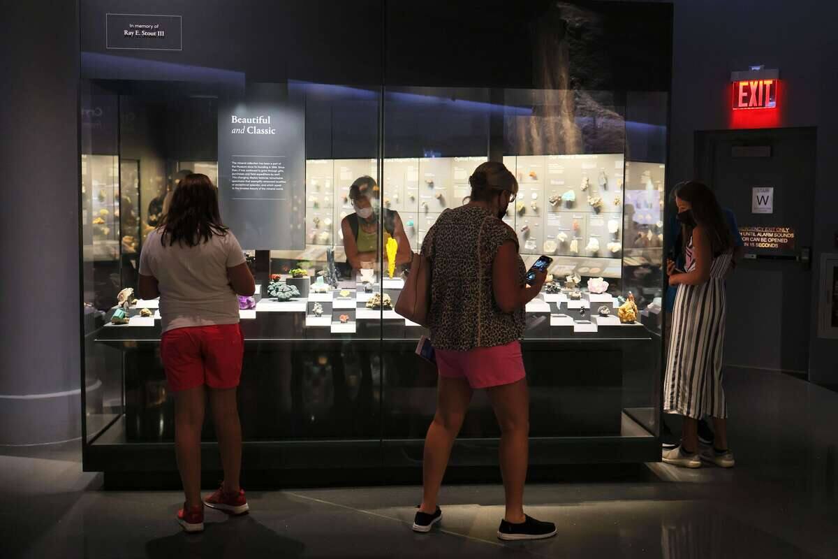New York Museum of Natural History Human remains removed from exhibits