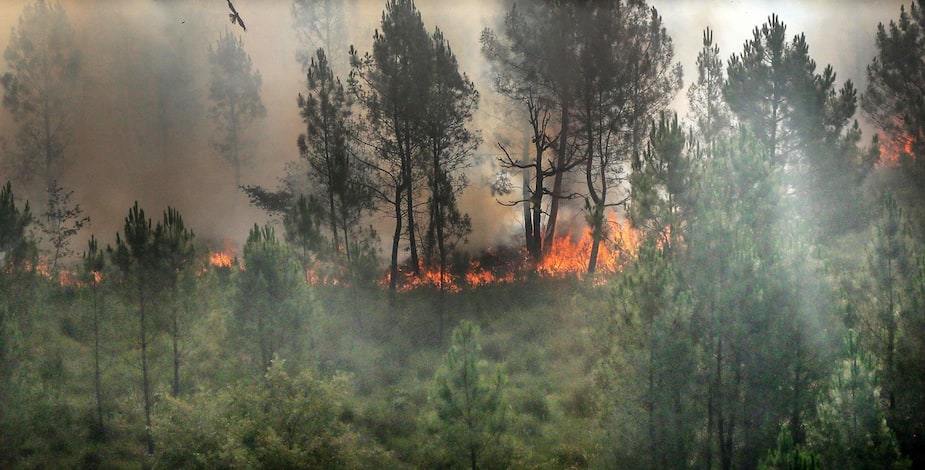 Un feu de forêt consume la végétation à Landiras, dans le sud-ouest de la France.