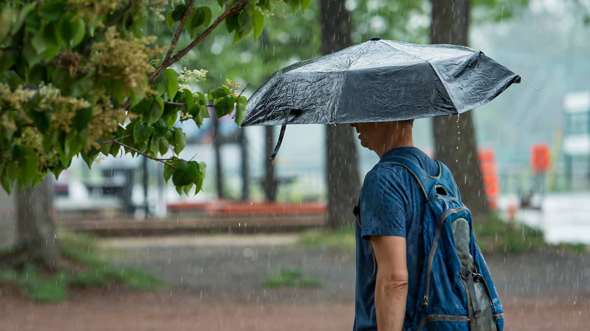 Des averses avec risque d’orages sur la majeure partie du Québec