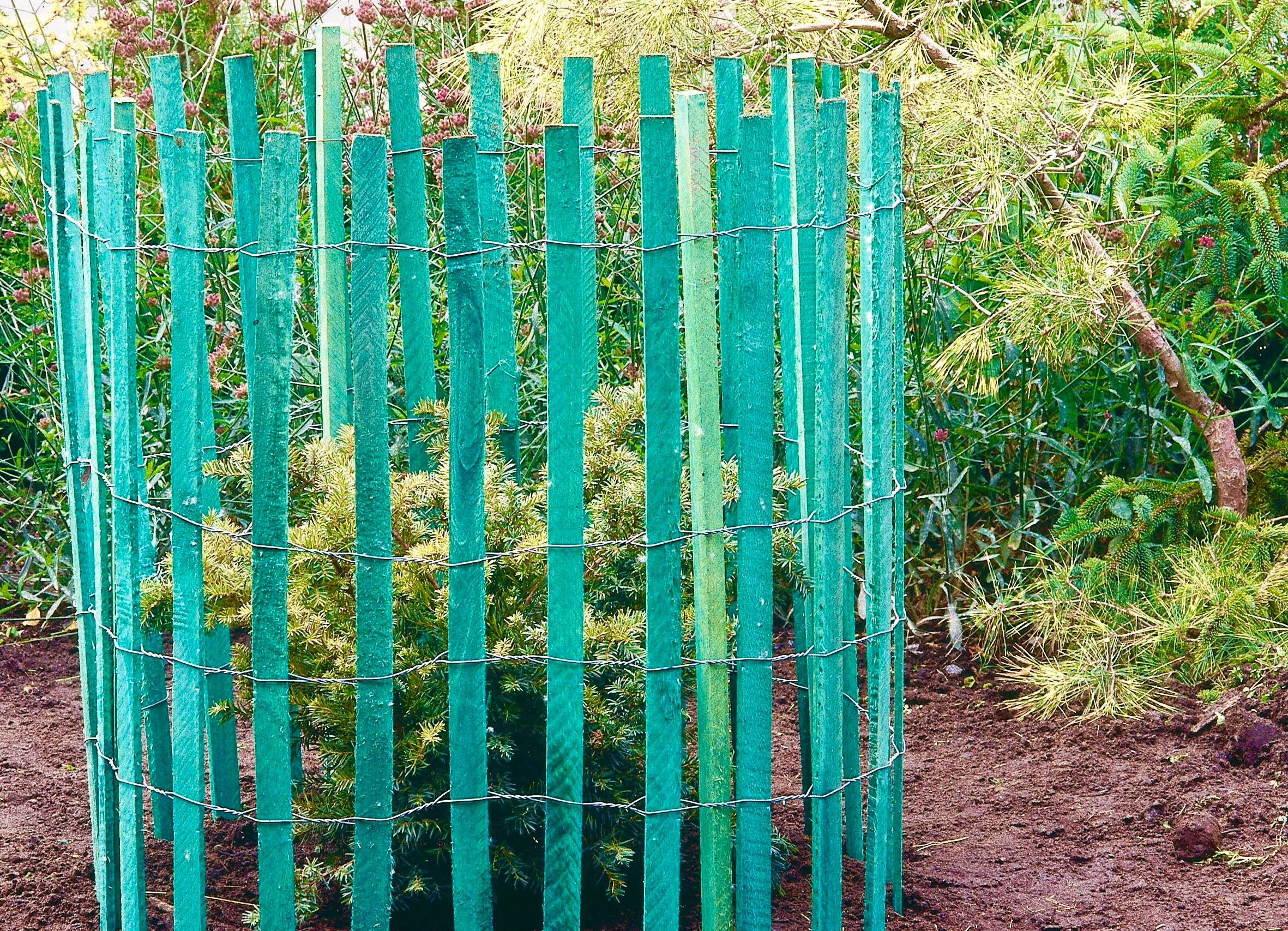 Protecteur De Racines De Palmier | Protection Hivernale Pour