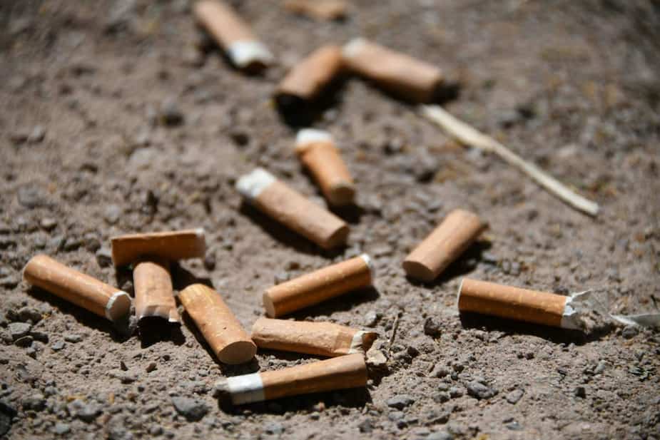 Image principale de l'article 126 incendies liés aux mégots en 2020
