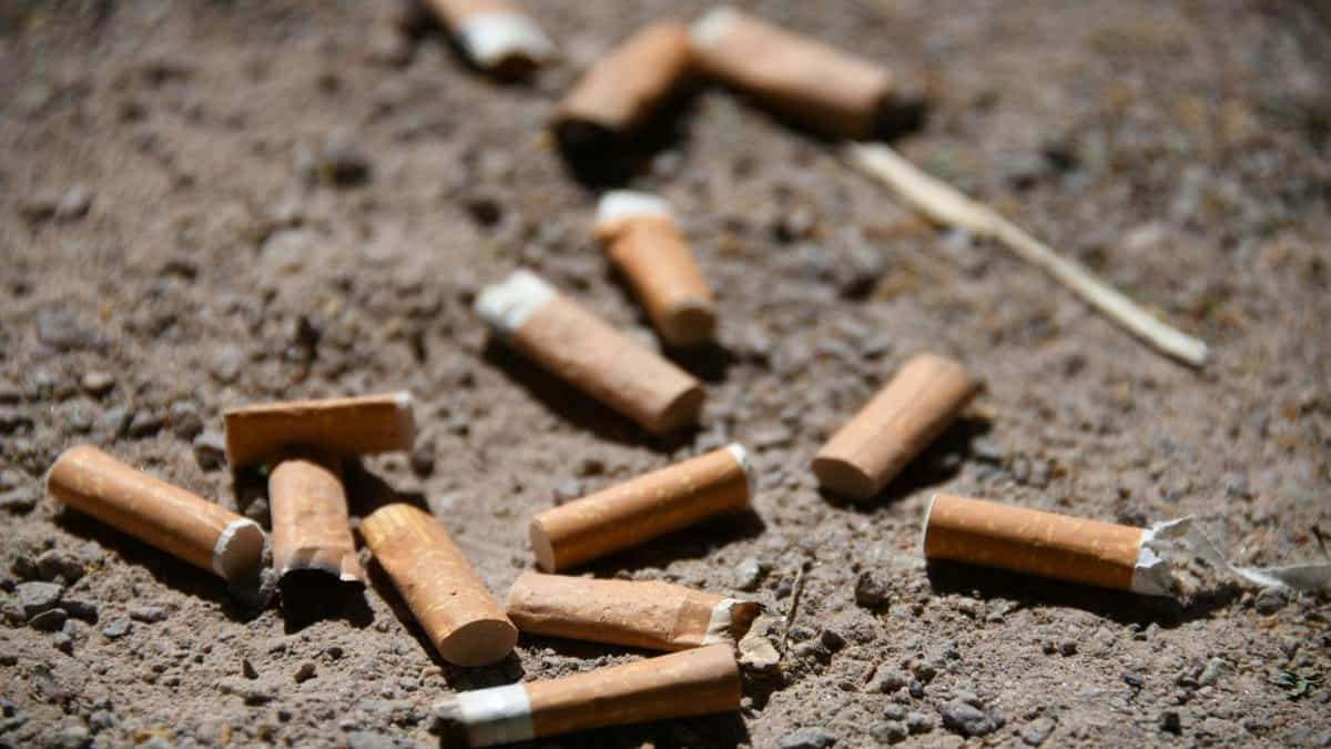 Le meurtrier d'une ado identifié 44 ans plus tard grâce à de l'ADN retrouvé sur un mégot de cigarette