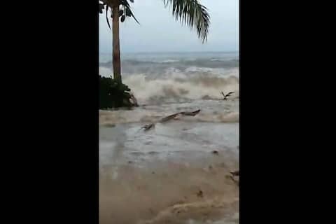 Erupción de Tonga: advertencia de tsunami en la costa oeste de EE. UU., inundaciones en Hawái