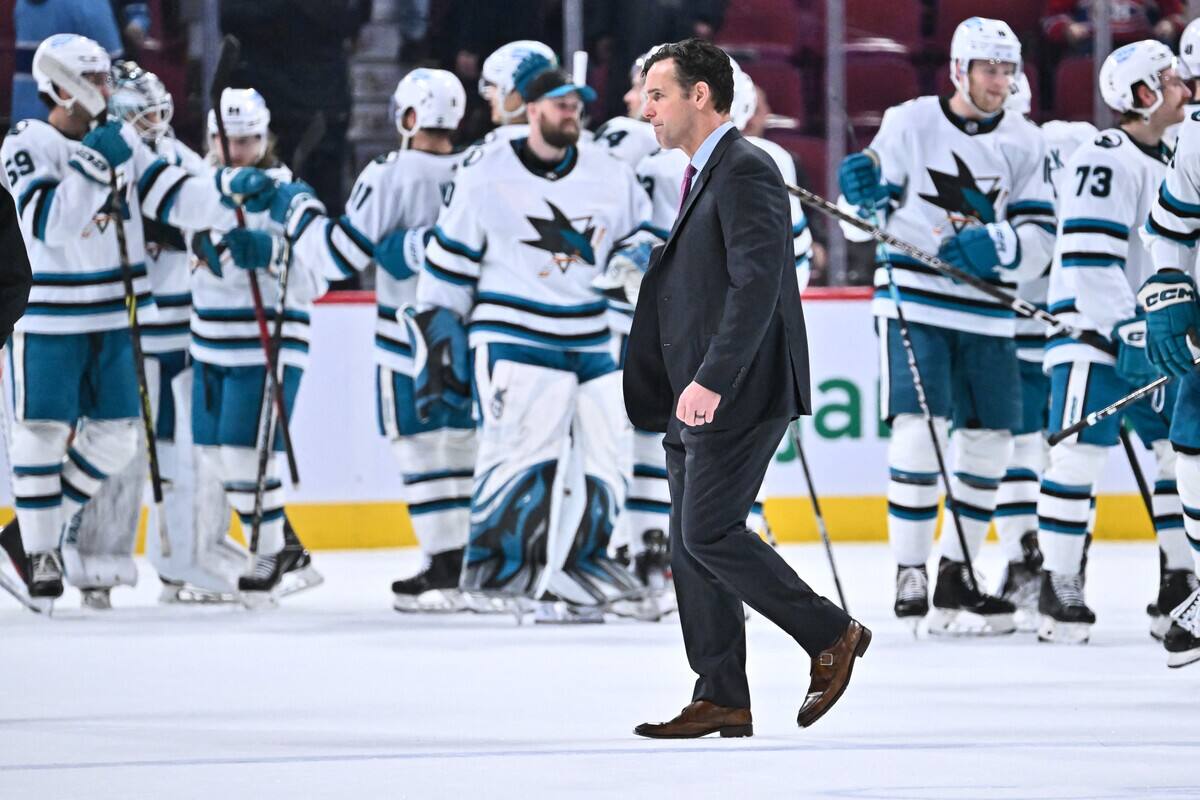 Les Sharks cong&eacute;dient leur instructeur-chef