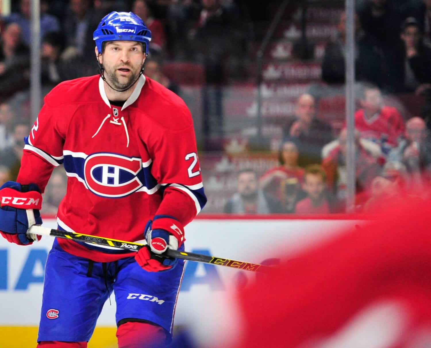 John Scott a adoré son passage à Montréal | JDQ