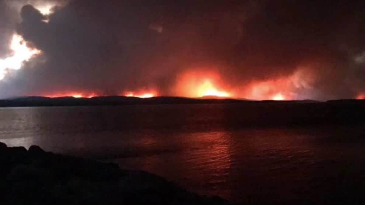 Incendies de forêt: risque accru de développer un cancer