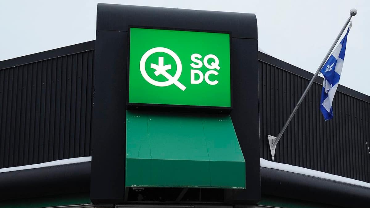 Produits comestibles contenant du cannabis : une analyse réclamée