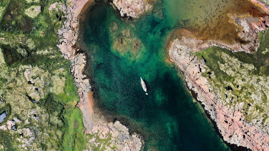 Image principale de l'article Un «désastre environnemental» dans le golfe