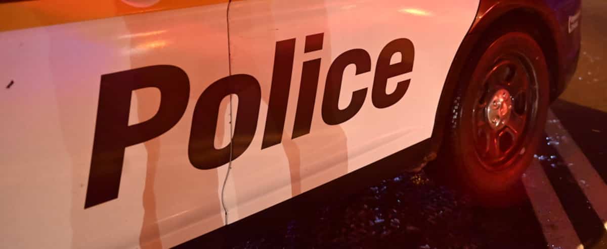 Une organisation de cannabis illicite suspectée de fournir des «vendeurs légaux»