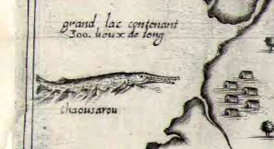 Un poisson grand comme un autobus a effrayé des explorateurs dans le Saint-Laurent en 1830