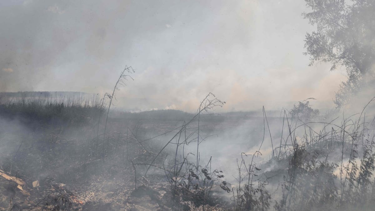 Un entrepreneur céréalier ukrainien connu tué dans une frappe à Mykolaïv