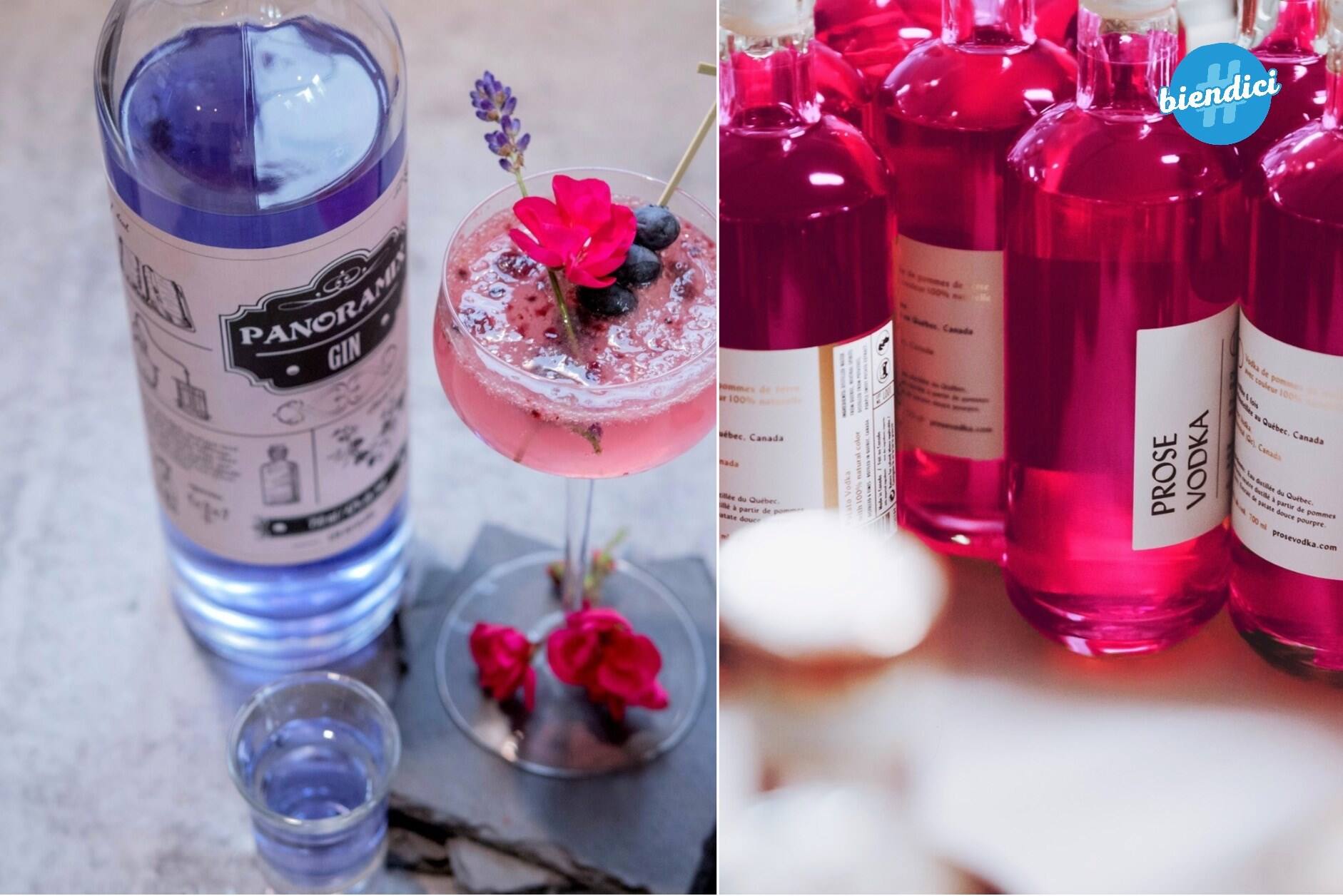 Image principale de l'article 20 spiritueux québécois colorés pour vos 5 à 7 