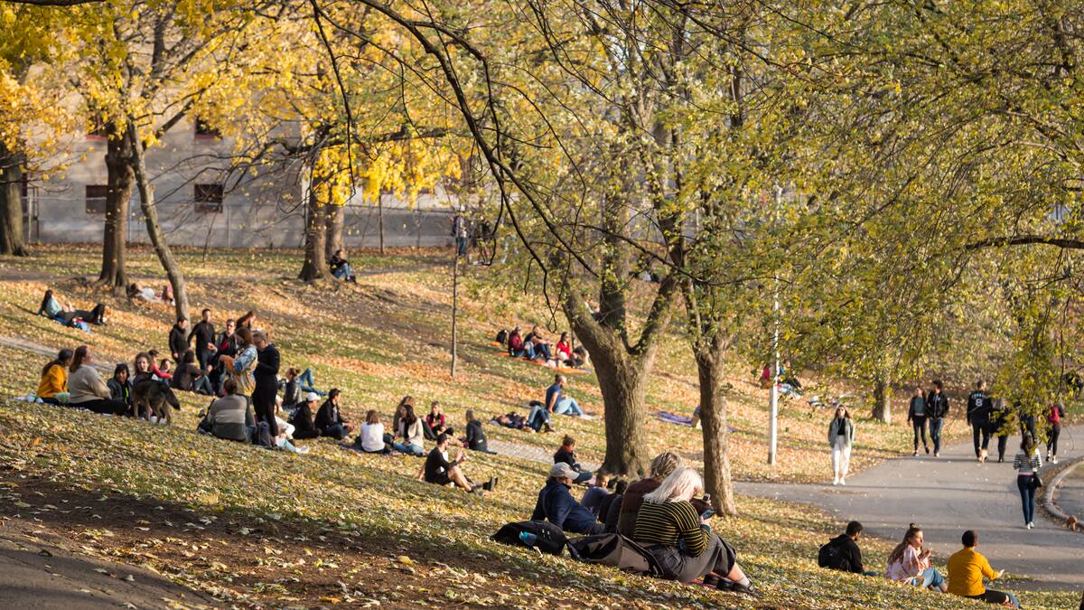 15 °C au-delà des normales dans le Nord-du-Québec