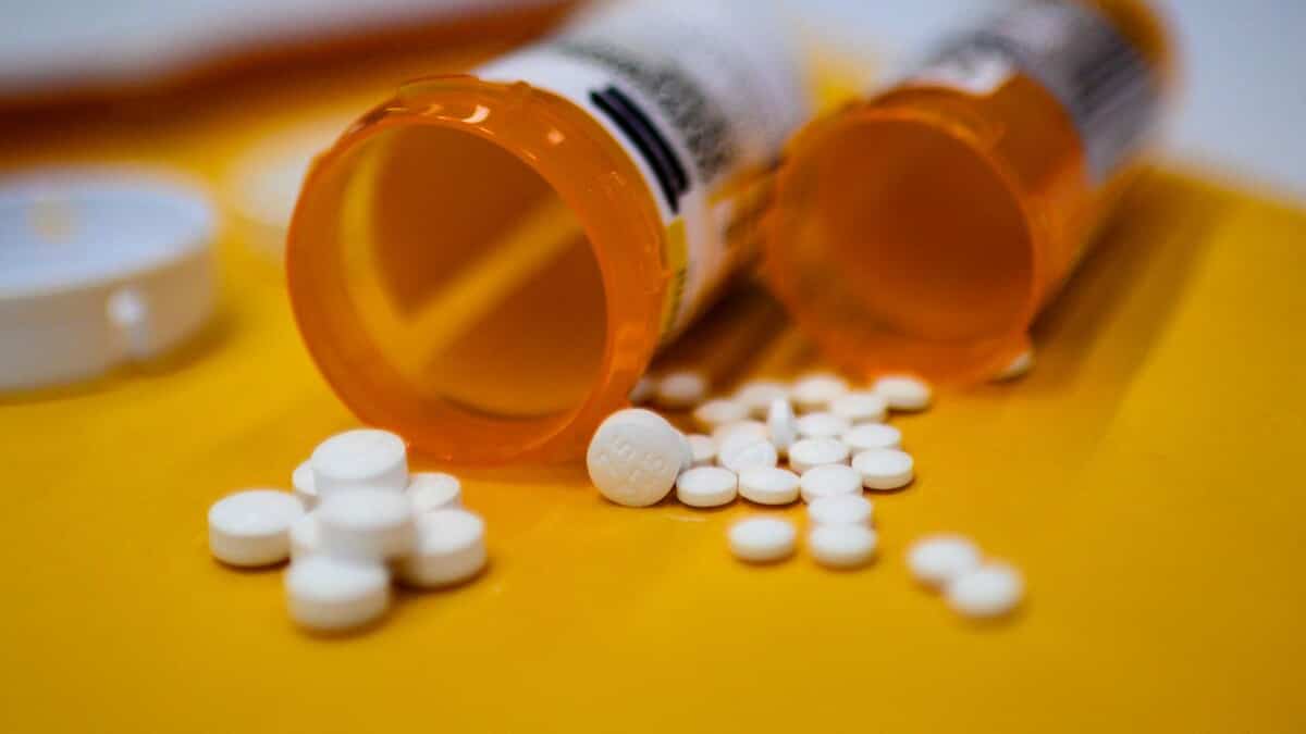 Opioid production on the rise: UN fears ‘catastrophic consequences’ Opioid production on the rise: UN fears ‘catastrophic consequences’