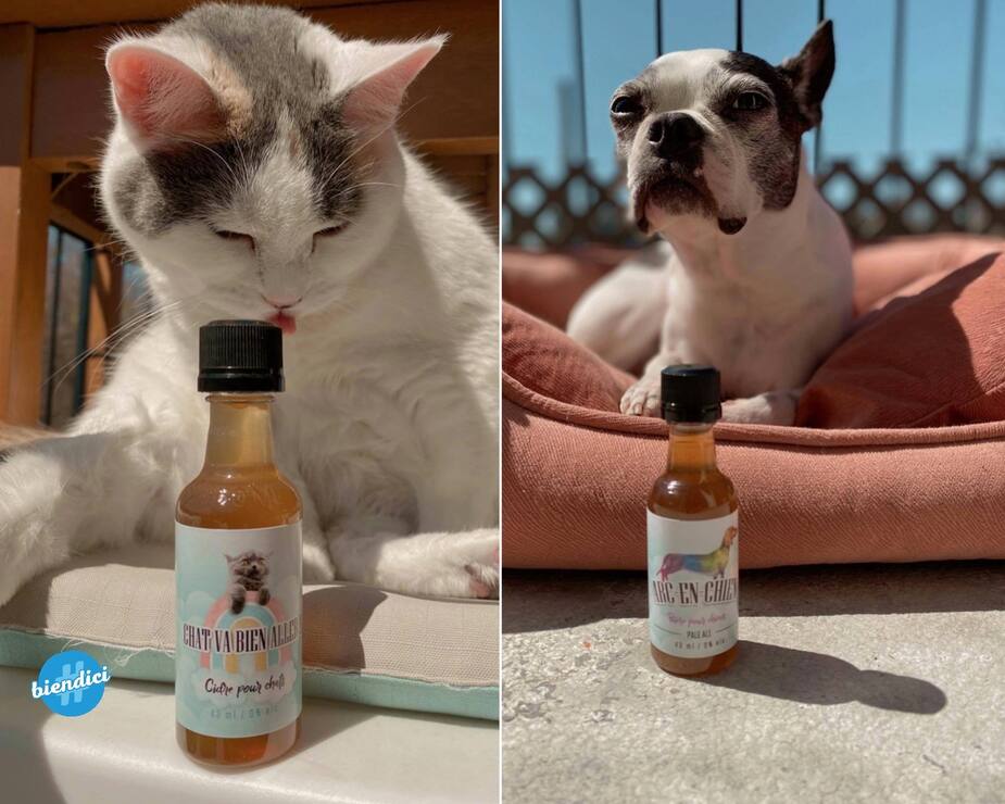 Une Epicerie Pour Animaux De Montreal Vend Une Biere Pour Chiens Et Un Cidre Pour Chats Silo 57 Une Epicerie Pour Animaux De Montreal Vend Une Biere Pour Chiens Et Un Cidre Pour Chats Silo 57