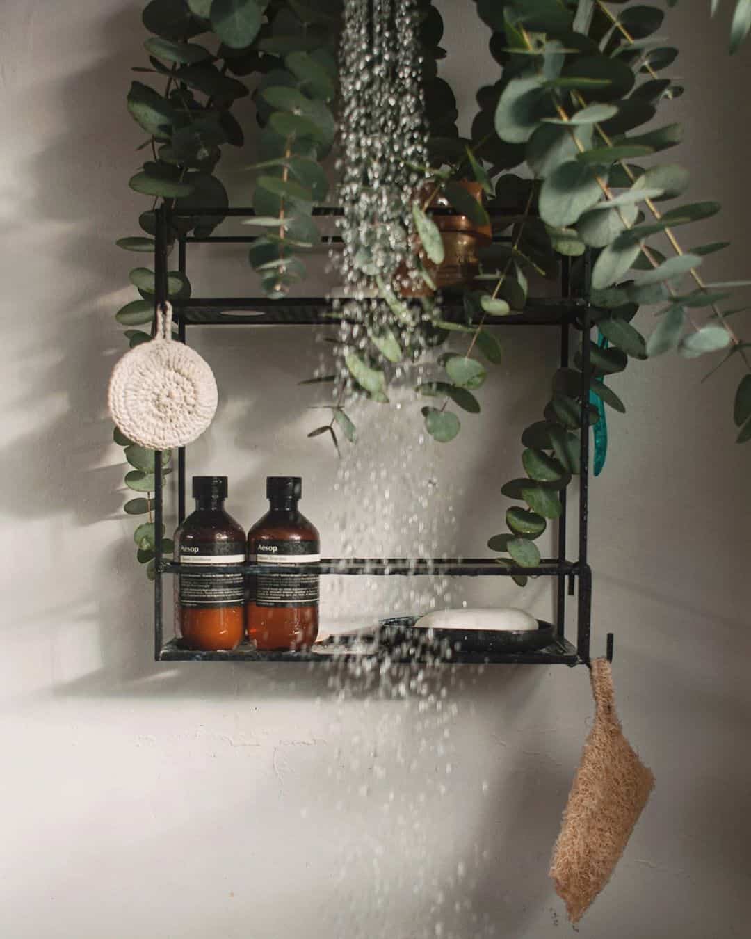 Pourquoi mettre de l’eucalyptus dans sa douche 