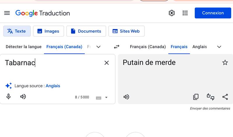 Tabarnac «Achaler», «magasiner», «capoter», «tabarnac»: Google traduit ...