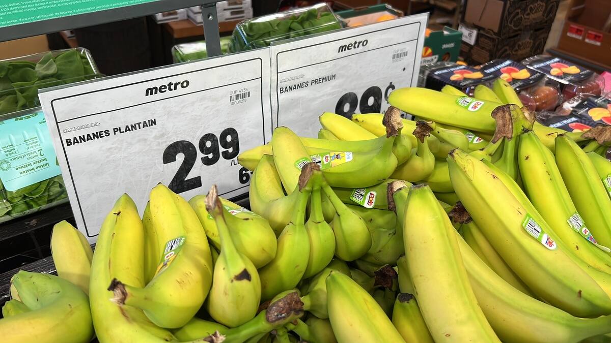 Bananes &eacute;quitables : un co&ucirc;t minime &agrave; payer pour changer la vie des travailleurs qui les r&eacute;coltent