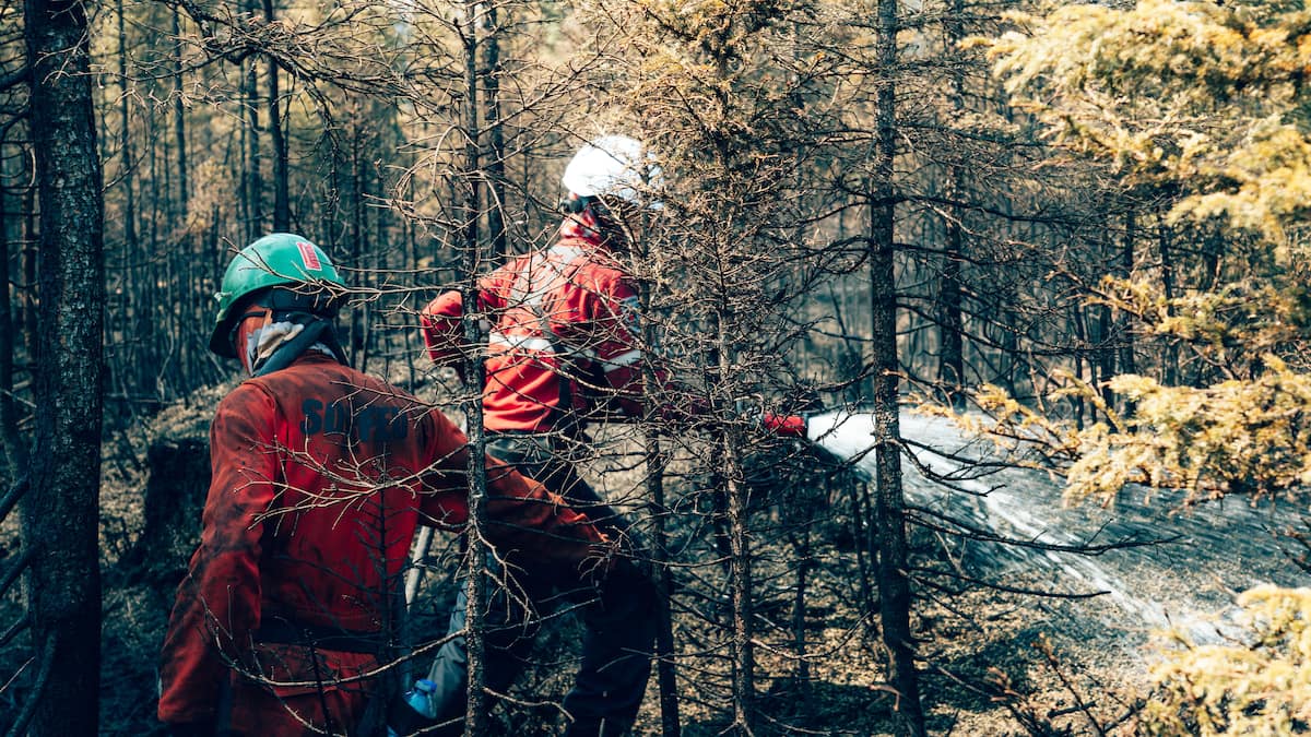 «On peut dire qu'on vit une accalmie»: les feux de forêt en baisse au Québec, selon la SOPFEU