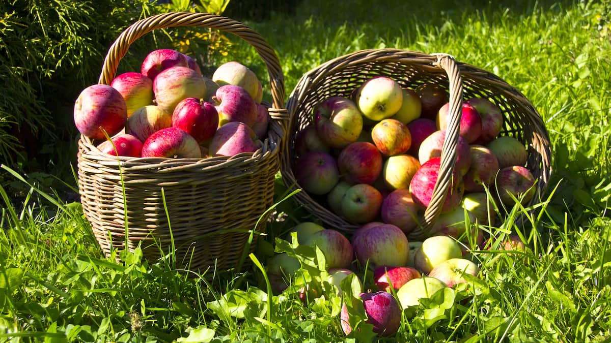 Fête du Travail 2024: quoi faire pour le long week-end ?