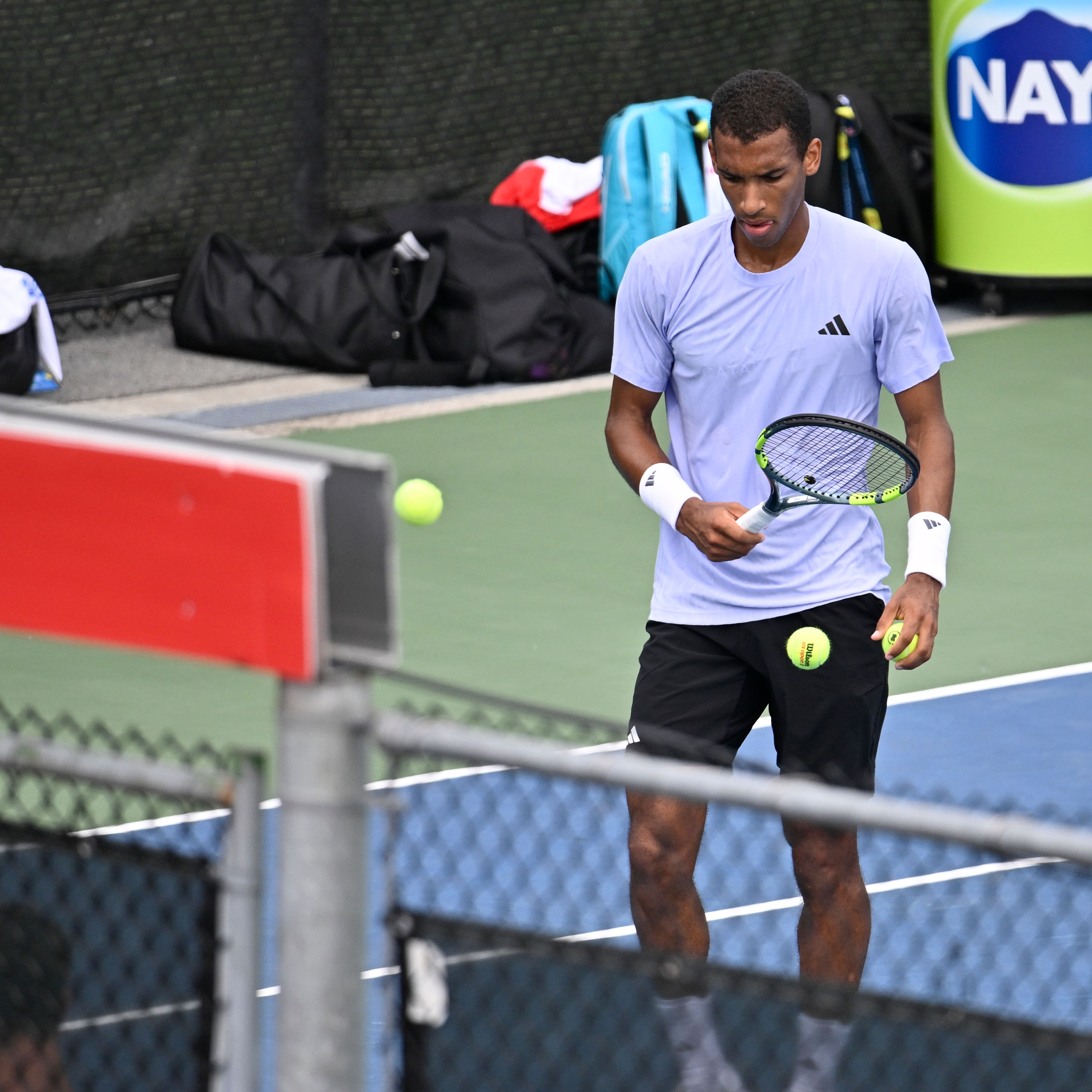 Félix Auger-Aliassime, plus populaire que jamais