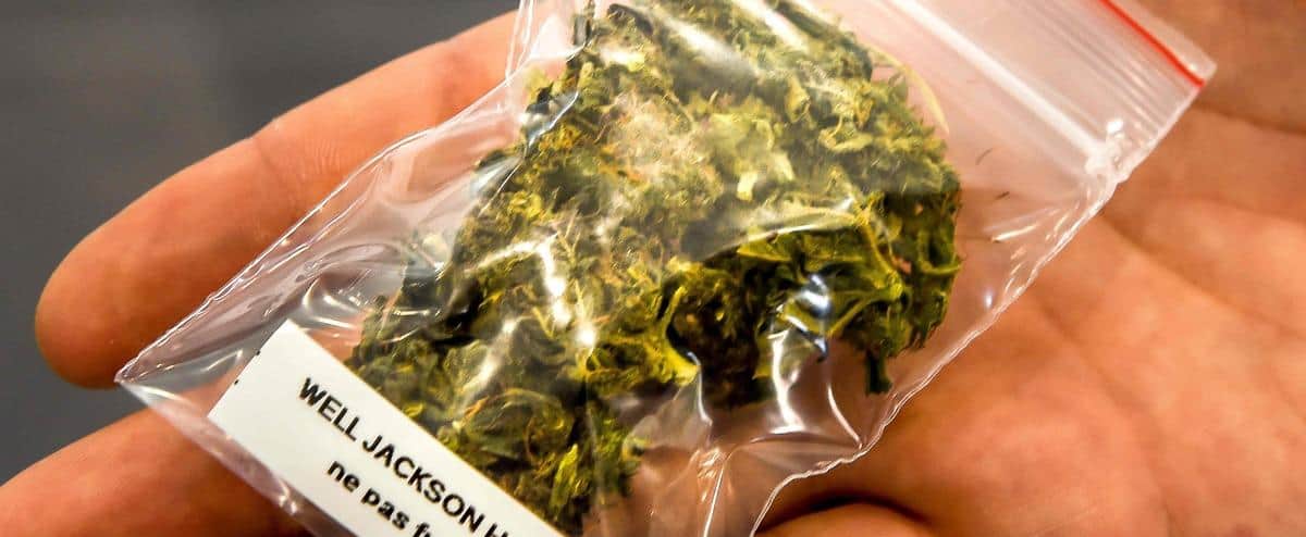 Le cannabis légal représente maintenant plus de la moitié des ventes