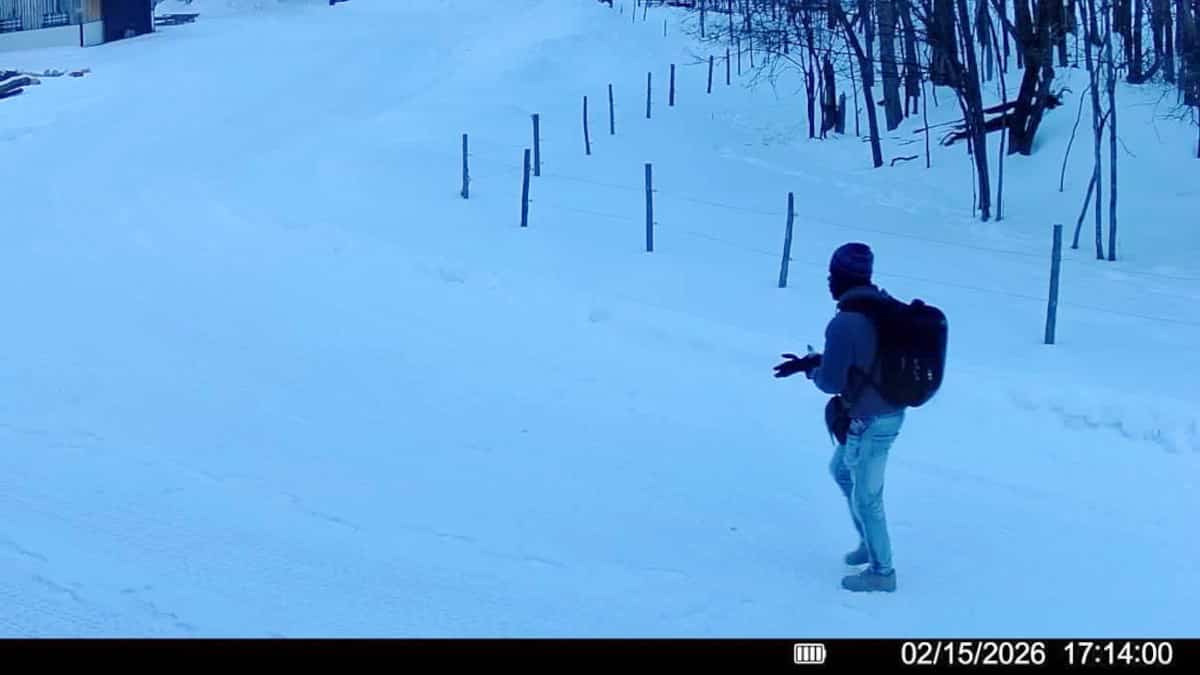 Vers le Canada: une Américaine voit une recrudescence des passages illégaux à la frontière