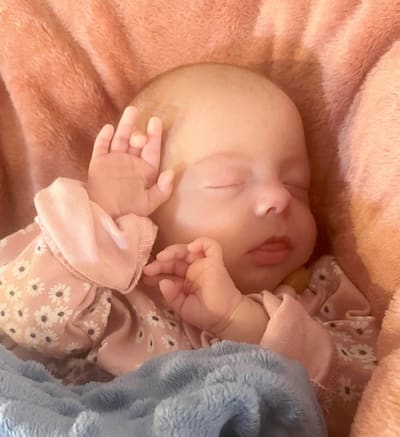 Saint-Julien fire photo family home