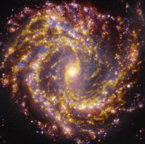 Catalogue PHANGS-MUSE: des images inédites de galaxies aux jeunes étoiles