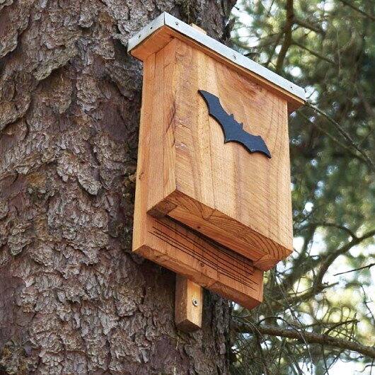 0928 Casa Flores y huerta