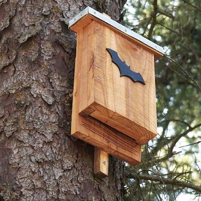 0928 Casa Flores y huerta