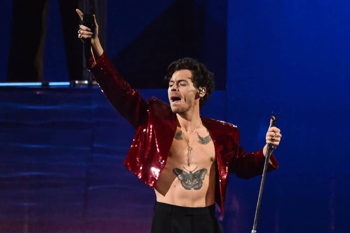 Avant de devenir sourde, une fan finie d&rsquo;Harry Styles fait le plein de concerts