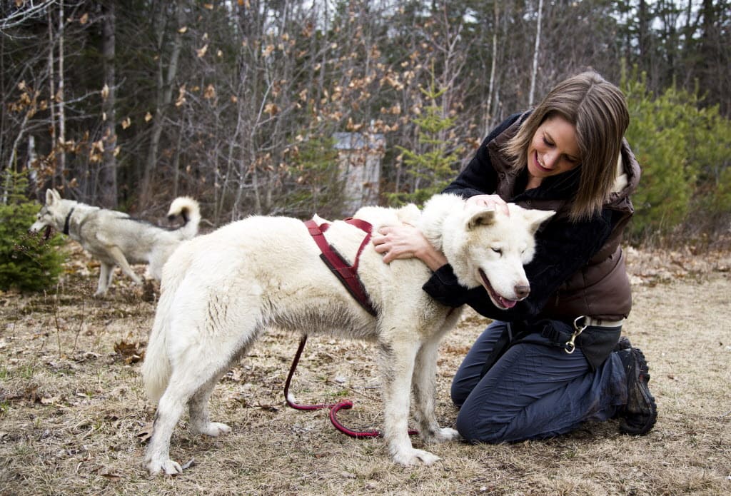 Guide complet du canicross 