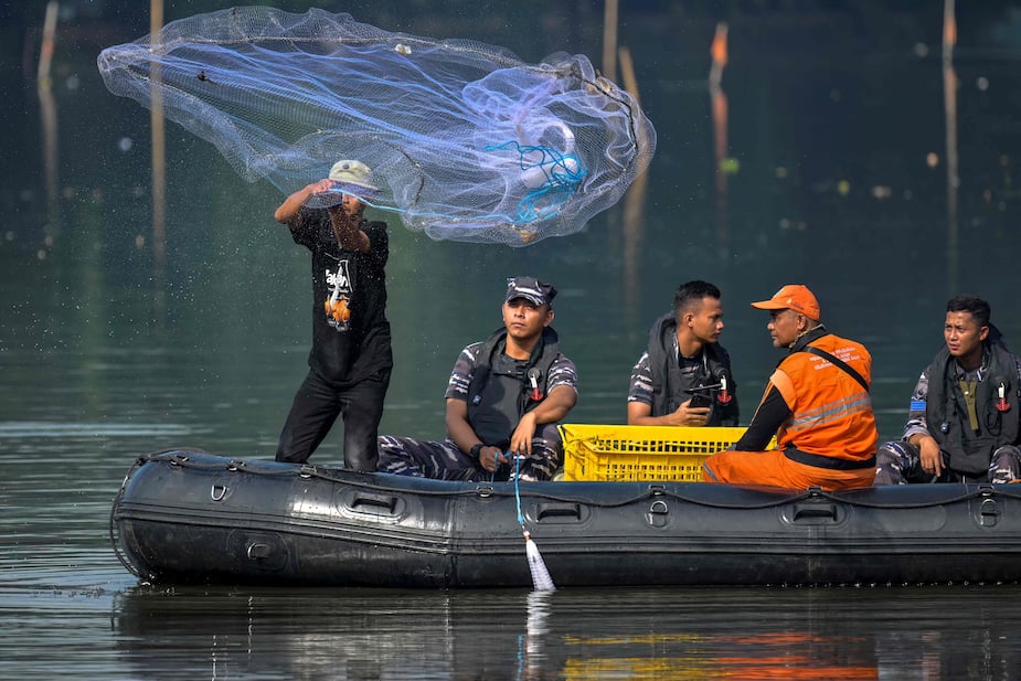 Poisson Invasif EN IMAGES | Le sapu-sapu, un poisson invasif qui prospère malgré la ...