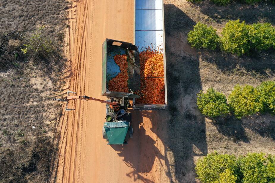 Image principale de l'article Le transport d'aliments coûte cher à la planète