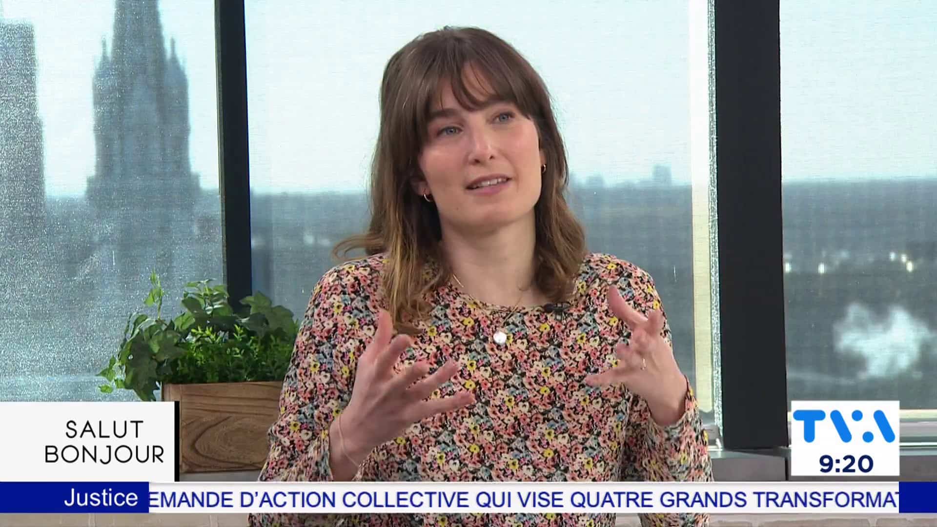 Tout savoir sur la cour des petites créances 